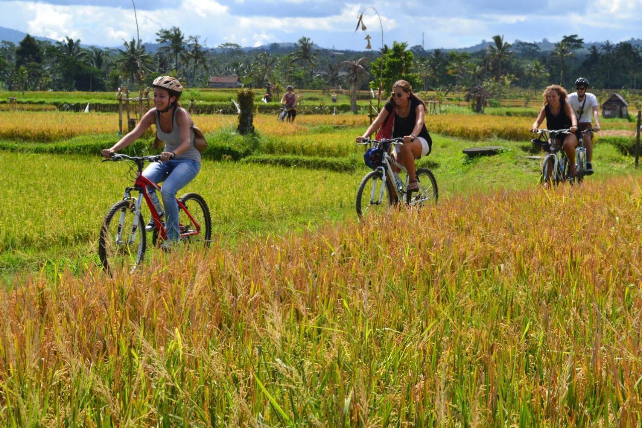 Bali Culture Guesthouse Ubud  Luaran gambar